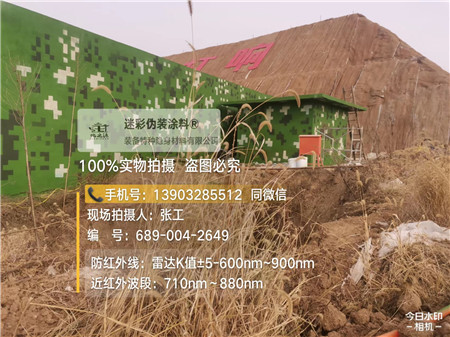 六安星空迷彩墙施工队