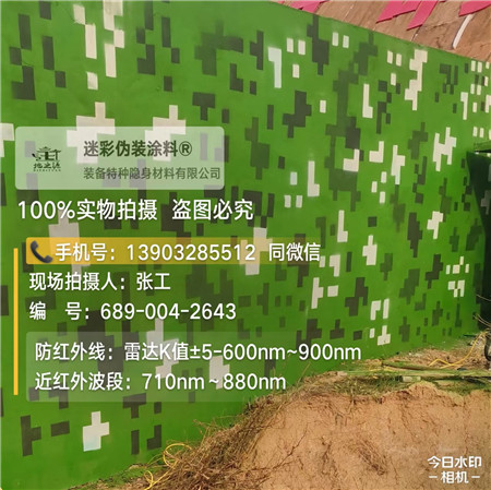 六安星空迷彩漆，夏令营训练,数码迷彩作训墙,围墙